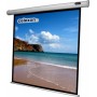 Celexon 1090063 schermo per proiettore 1:1 (1090063)