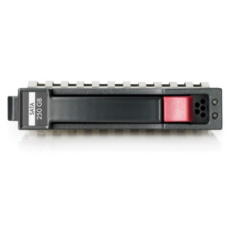 Hewlett Packard Enterprise 459318-001 disco rigido interno 3.5" 250 GB SATA (459318-001)