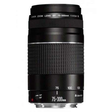 Canon EF 75-300mm f/4.0-5.6 III SLR Teleobiettivo Nero (6473A015)