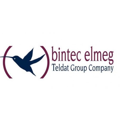 Bintec-elmeg RSxx3/Rxx02/RTxx02/RXL-IPSEC25 1 licenza/e (5500000781)