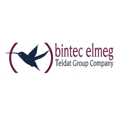 Bintec-elmeg IPSec-Client 5-Update 5 licenza/e (80517)