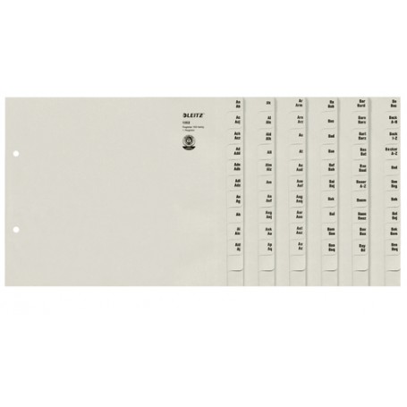 Leitz 13520085 divisore Carta Grigio (13520085)