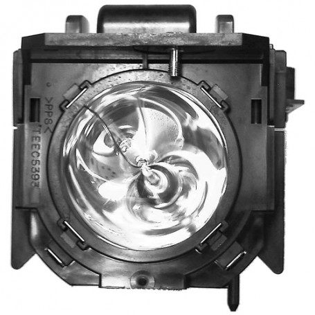 TEKLAMPS Lamp for PANASONIC PT-DZ680EK (Dual Lamp) lampada per proiettore 300 W (66762)