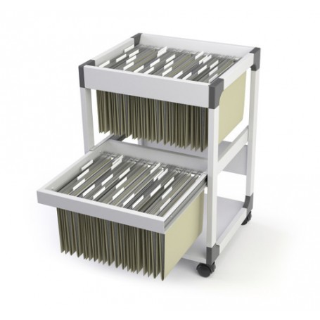 Durable 379110 scatola per la conservazione di documenti Grigio (379110)