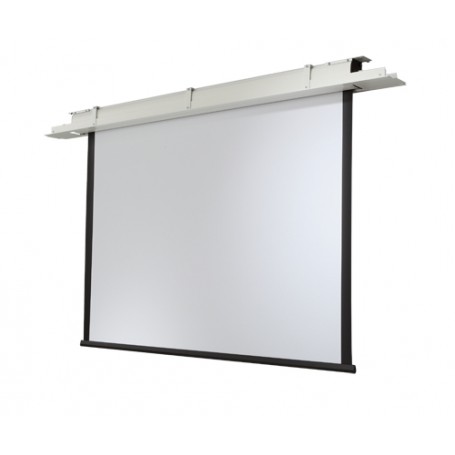 Celexon Professional 300 x 169 cm schermo per proiettore 16:9 (1090106)