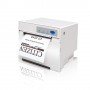 Citizen CT-P293 Cablato Termica diretta Stampante POS (CTP293ALWHDC)