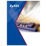 Zyxel E-iCard 1YR CF f/ USG1900 1 licenza/e Download di software elettronico (ESD) 1 anno/i (LIC-CCF-ZZ0019F)