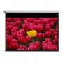 Optoma Pantalla 16:9 2656 x 1494mm schermo per proiettore 3,05 m (120") (DE-9120EGA)