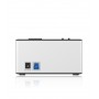 ICY BOX IB-141CL-U3 Alluminio, Nero (20919)