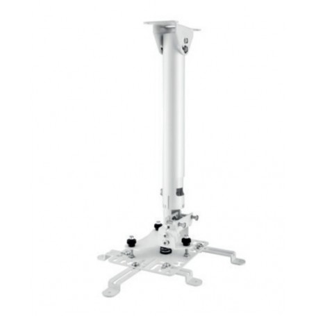 Hagor HA BDH supporto per proiettore Soffitto Acciaio inossidabile (5806)