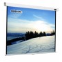 Celexon 1090042 schermo per proiettore 1:1 (1090042)