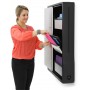 Ergotron Zip12 A muro Nero, Metallico (DM12-1006-2)