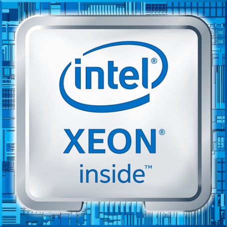 Intel Xeon E3-1225V5 processore 3,3 GHz 8 MB Cache intelligente (CM8066201922605)