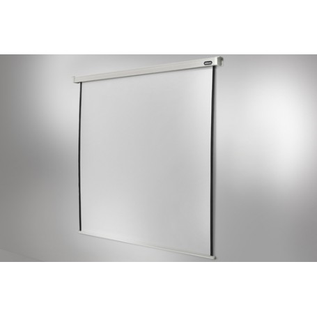 Celexon Professional schermo per proiettore 1:1 (1090091)