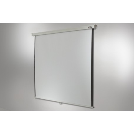 Celexon Professional schermo per proiettore 1:1 (1090047)