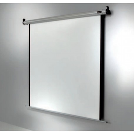 Celexon 1090111 schermo per proiettore 1:1 (1090111)