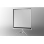 Celexon 1090268 schermo per proiettore 1:1 (1090268)