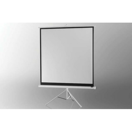 Celexon 1090266 schermo per proiettore 4:3 (1090266)