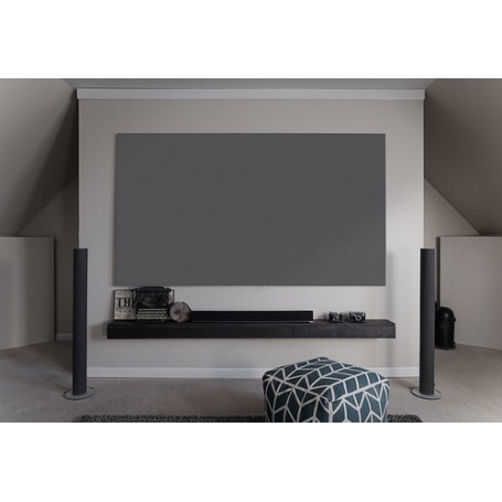 Elite Screens Aeon CineGrey 3D schermo per proiettore 2,54 m (100") 16:9 (AR100DHD3)