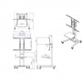 Value 17.99.1165 Supporto per display espositivi 2,54 m (100") Nero (17.99.1165)