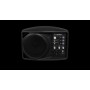 Mackie SRM 150 altoparlante 3-vie Nero Cablato 100 W (SRM 150)