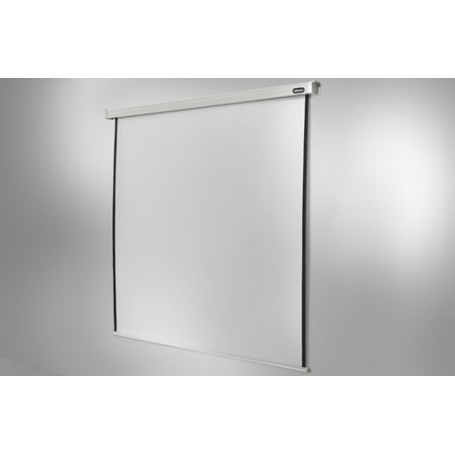 Celexon Professional schermo per proiettore 4:3 (1090093)