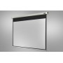 Celexon Professional schermo per proiettore 4:3 (1090093)