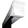 Celexon 1090056 schermo per proiettore 16:9 (1090056)