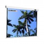 Celexon Mobil Expert 203 x 152cm schermo per proiettore 4:3 (1090335)