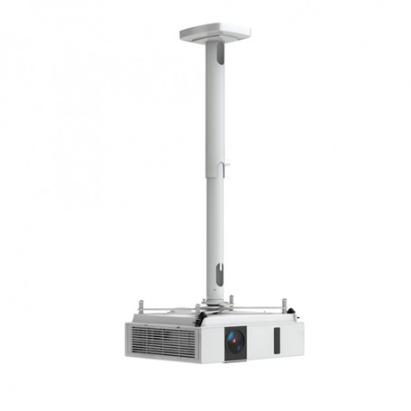 Kindermann Comfort² 60 supporto per proiettore Soffitto Bianco (4000000061)