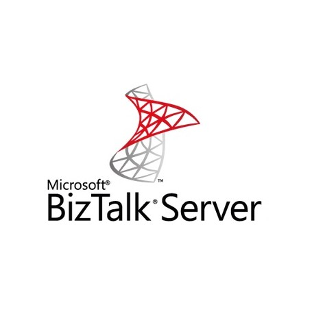 Microsoft BizTalk Server 2 licenza/e (HJA-01071)