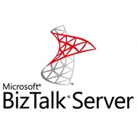 Microsoft BizTalk Server 2 licenza/e (D75-02347)