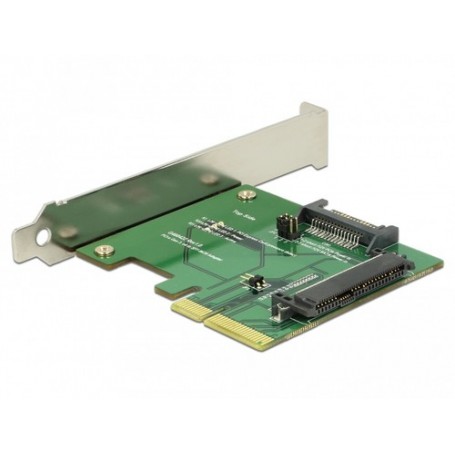DeLOCK 89672 scheda di interfaccia e adattatore Interno PCI, SATA, U.2 (89672)