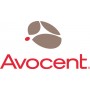 Vertiv Avocent Data Center Planner, Level 2 (DCP-L2-99-V040)