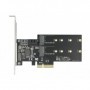 DeLOCK 90499 scheda di interfaccia e adattatore Interno M.2, SATA (90499)