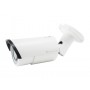 LevelOne FCS-5060 telecamera di sorveglianza Telecamera di sicurezza IP Interno e esterno Capocorda 1920 x 1080 Pixel (FCS-5060)