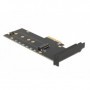DeLOCK 89013 scheda di interfaccia e adattatore Interno M.2 (89013)