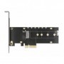 DeLOCK 89013 scheda di interfaccia e adattatore Interno M.2 (89013)