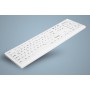 Active Key AK-C8100 tastiera USB Belga Bianco (AK-C8100F-U1-W/BE)