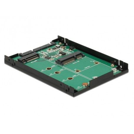 DeLOCK 62866 scheda di interfaccia e adattatore Interno M.2, mSATA (62866)