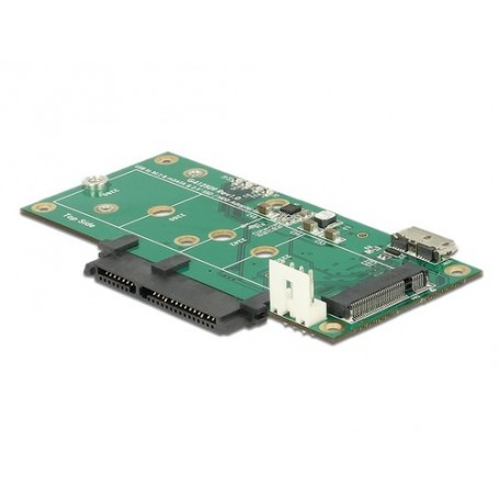 DeLOCK 62867 scheda di interfaccia e adattatore Interno M.2, SATA, mSATA (62867)