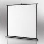 Celexon 1091781 schermo per proiettore 1:1 (1091781)