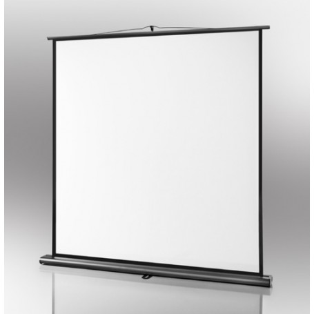 Celexon 1091788 schermo per proiettore 16:10 (1091788)