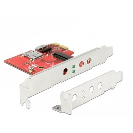 DeLOCK 91748 lettore di schede PCI Express Interno Metallico, Rosso (91748)