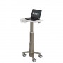 Ergotron C50-1100-0 supporto per notebook 39,6 cm (15.6") Supporto per computer portatile Grigio (C50-1100-0)