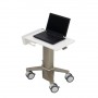 Ergotron C50-1100-0 supporto per notebook 39,6 cm (15.6") Supporto per computer portatile Grigio (C50-1100-0)