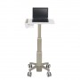 Ergotron C50-1100-0 supporto per notebook 39,6 cm (15.6") Supporto per computer portatile Grigio (C50-1100-0)