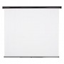 Hama 00018748 schermo per proiettore 139,7 cm (55") 1:1 (00018748)