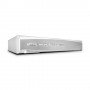 Lindy 39337 switch per keyboard-video-mouse (kvm) Argento (39337)