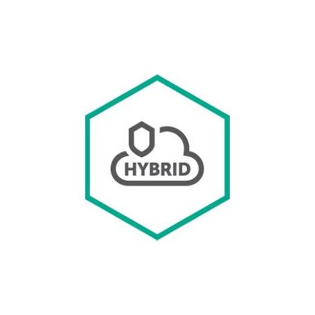 Kaspersky Lab Hybrid Cloud Security for Server Base 1 anno/i (KL4255XAKFS)